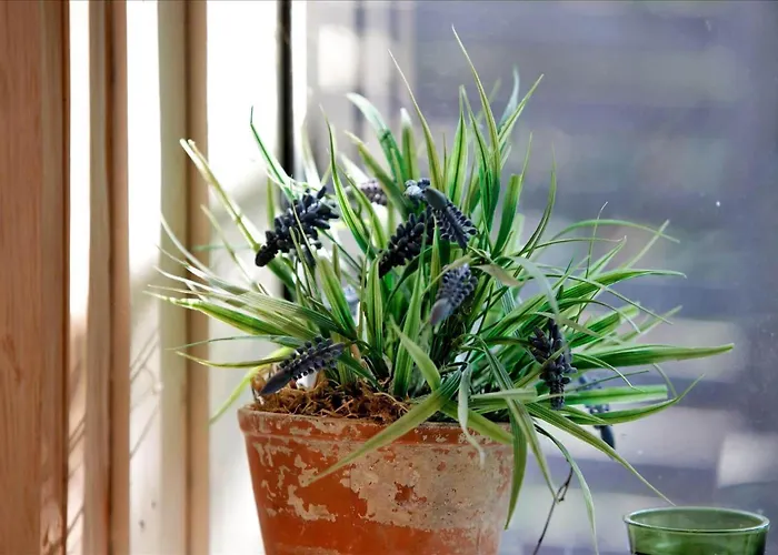 Prázdninový dům 11826-nykobing-sj-lynglodden-5